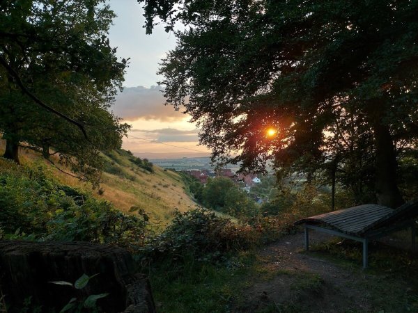 Abendstimmung bei der Malereiche - zu sehen auf der Abendrunde um die Burg Schwalenberg. - © VHS Lippe-Ost