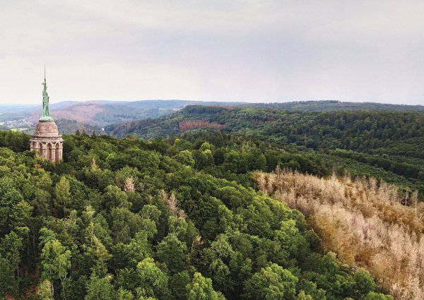 Blick auf den Hermann - © Wortmann Gruppe Detmold