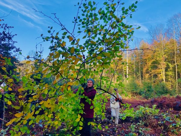 Die Achtklässler des Rudolph-Brandes-Gymnasiumpacken packen ordentlich an. Der Wald wird für eine Pflanzaktion vorbereitet. - © Rudolph-Brandes-Gymnasium