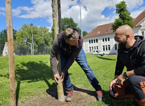 Frank Schröder (links) begutachtet im Bürgerpark die Schäden an einem jungen Ahorn. Stefan Zibart (Aufbruch C) hat darauf aufmerksam gemacht, dass der Sonnenschutz von den Bäumen entfernt wurde und diese Schaden genommen haben. - © Astrid Sewing