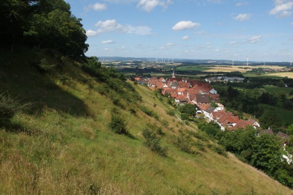 Auf dem Burgberg werden einige Büsche entfernt. - © Biologische Station Lippe
