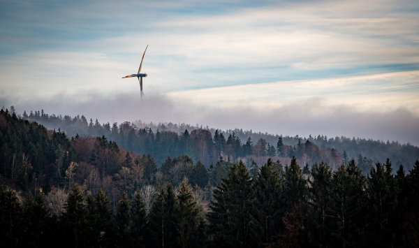 13 Windkraftanlagen sollen im Waldgebiet in der Nähe des Gauseköte entstehen. Sechs davon würden auf Schlänger Gemeindegebiet stehen. Durch das Veto der Militärs wegen der von ihnen behaupteten Flugkorridor sieht die Gemeinde ihre kommunale Selbstverwaltungsgarantie unzulässig beschnitten. - © Symbolbild: pixabay