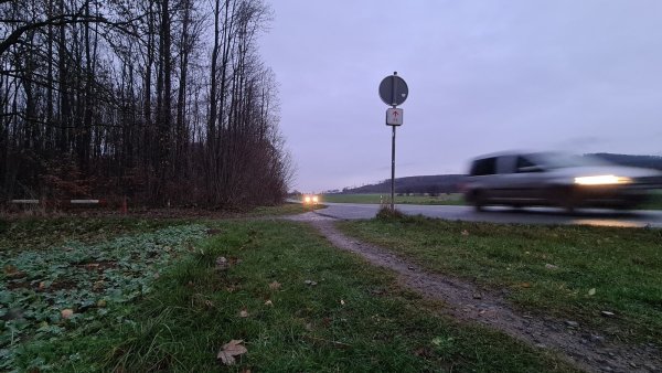 Vor dem Waldstück endet der Pattweg an der Landesstraße 947. Ab hier soll es künftig nach links ab und dann durch den Wald für Fußgänger und Radfahrer weitergehen, die in Richtung Hagen unterwegs sind. - © Nadine Uphoff