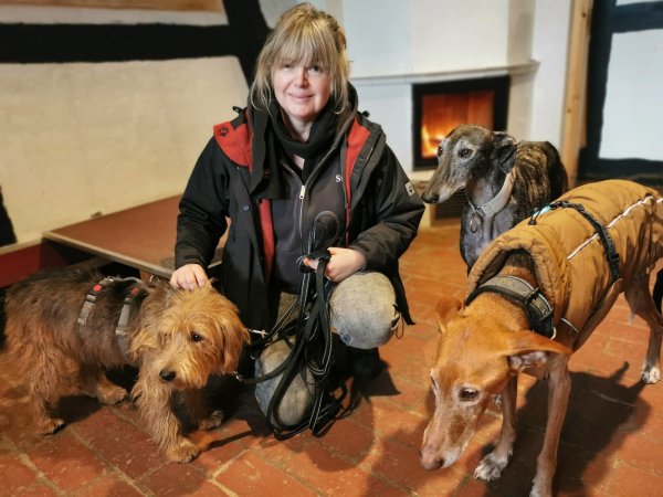 Ehrenamtlich Gassigehen: Jutta Conrad kümmert sich um die Tiere im Franziskushof. Hier mit den Hunden Emil (von links), Enic und Riki. - © Sylvia Frevert