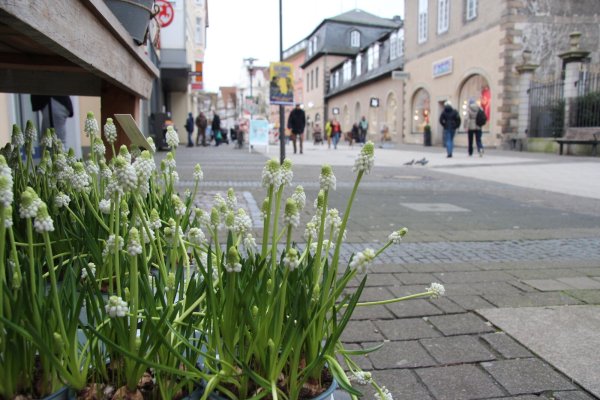 Mehr Deko, mehr Grün - in einer Umfrage wünschen sich LZ-Leser unter anderem ein behaglicheres Ambiente in der Detmolder Innenstadt. Mit dem derzeit laufenden Umbau könnte dies schon bald in Erfüllung gehen. - © Jana Beckmann