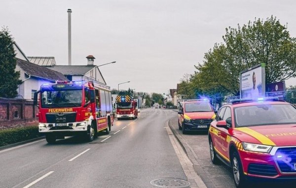 Einsatzreicher Nachmittag für die Feuerwehr. - © Feuerwehr Detmold