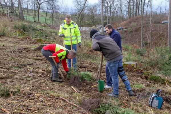 Mitglieder des Schützenvereins Bösingfeld pflanzen gemeinsam mit Revierförster Thomas Fritzemeier (links) junge Setzlinge in der Nähe ihres Vereinsheims. - © Landesverband Lippe