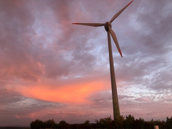 Eigentlich ist Blomberg mit der Ausweisung für Windkraftflächen durch.Der neue Regionalplan könnte diese Planung allerdings konterkarieren. - © Archivfoto: Silke Buhrmester