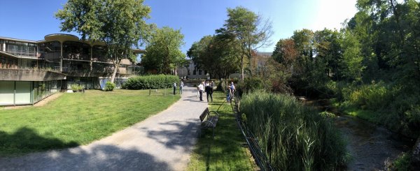 Dieser kleine Park hinter dem Kurgastzentrum (links) soll neu gestaltet werden. - © Thomas Reineke