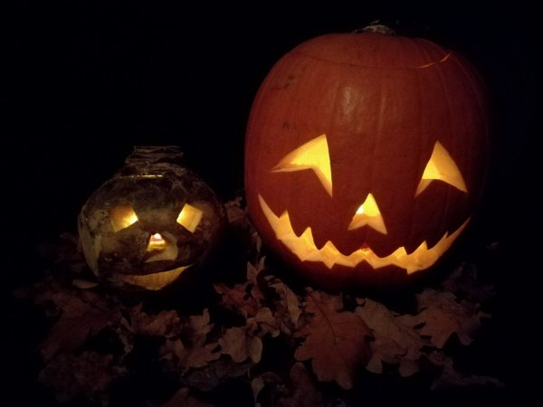 Heute prägen Halloweenkürbisse die Region zu Beginn der dunklen Jahreszeit. Früher schnitzte man aber Rüben in den Tagen vorm Martinssingen zu. - © MARK-ANDRÉ STRUNK