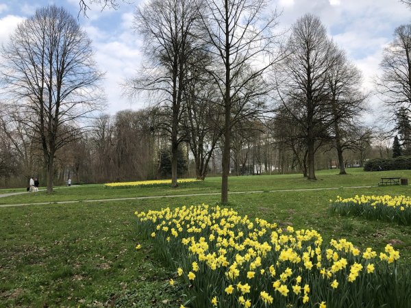 Viel Platz fürs Discgolfen bietet der Park in Schieder. Die Scheibe durch Bäume zu werfen, hat einen besonderen Reiz. - © Silke Buhrmester