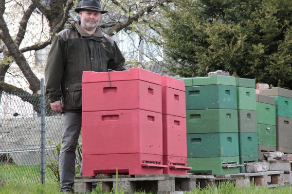 Andreas Postert zeigt seine Bienenkästen, die in Müssen direkt unter einem Obstbaum stehen. Von hier haben es die Bienen nicht weit, um Nektar und Pollen zu sammeln - sofern es denn auch welchen gibt. - © Carolin Brokmann-Förster