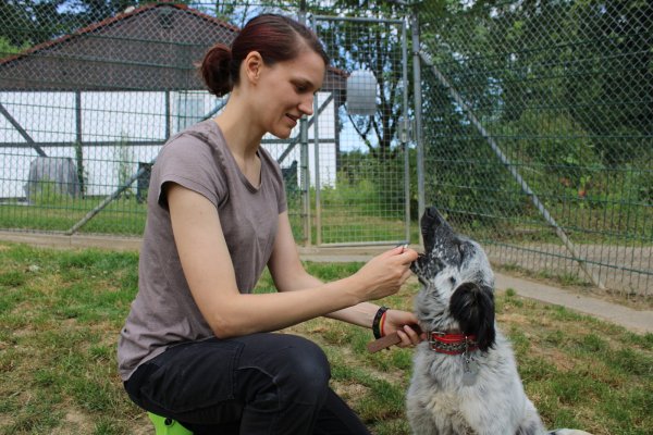 Jaghund-Mischling "Finchen" sucht ein neues Zuhause. Bis sie das gefunden hat, wird sie von Lena Möller versorgt, die im Tierheim Detmold eine Ausbildung zur Tierpflegerin macht. - © Nico Düllmann