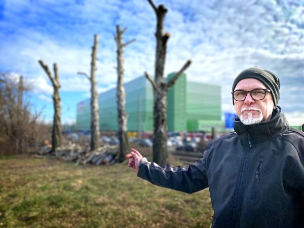 Nachdem die Deutsche Bahn auf einem Grundstück im Gütersloher Norden versehentlich vier alte Birken kappen ließ, ist es nun knapp drei Wochen später zu einem klärenden Gespräch gekommen, an dem auch Mieter Michael Kisse teilgenommen hat. - © Christian Bröder