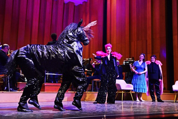 Tierischer Besuch auf der Bühne: Das Lippische Landestheater führte das Stück Das Feuerwerk aus dem Jahr 1950 in der Salzufler Konzerthalle auf. - © Nicole Ellerbrake