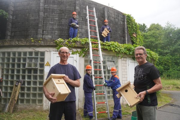 Jugendfeuerwehrwart Rüdiger Thalke (links) und der angehende Naturbotschafter Albert Holtkamp hängen mit den Mitgliedern der Jugendfeuerwehr Nistkästen an dem Mauerwerk der ehemaligen Kläranlage auf. Mit dabei sind Bennet (12, unten von links) und Tyler (12) sowie Isabell (17) und Oliver (14). - © Michaela Weiße(LZ)