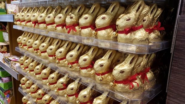 Die Osterhasen stehen noch in Reih und Glied. - © Marianne Schwarzer