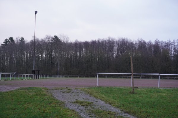 Der Tennenplatz in Horn soll durch ein Kunstrasenspielfeld ersetzt werden. - © Michaela Weiße