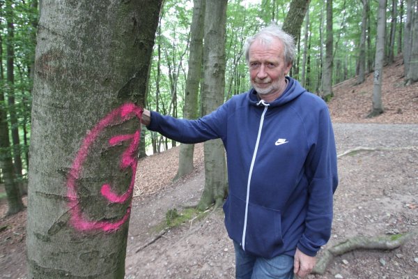Zum Ärger von Bernd Mühlenmeier sind im Wald nahe der Wallanlage Alt Sternberg Markierungen im Wald aufgetaucht, die so schnell nicht wieder verschwinden. Eine Art Schnitzeljagd, vermutet Mühlenmeier. - © Jens Rademacher