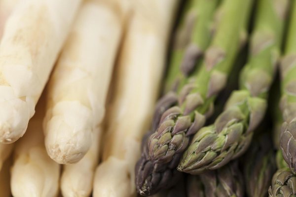 Auf Spargel aus OWL müssen sich Liebhaber noch etwas gedulden. Die Spargelbauer rechnen jedoch mit einem pünktlichen Saisonstart im April. - © picture alliance / imageBROKER
