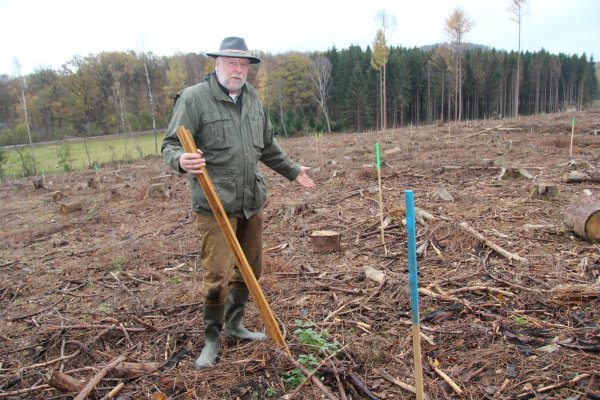 Blombergs Förster Stephan Radeck hat Eichen am Eichenberg gepflanzt. - © Seda Hagemann
