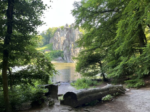 Die Externsteine vom Wäldchen aus gesehen. Hier wird am Sonntag eine Führung mit Blick in die Grotte angeboten. - © Jana Beckmann