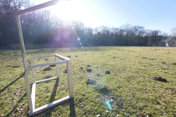 Der Sportplatz in Holzhausen-Externsteine wird aktuell nicht genutzt. Das sieht man dem Gelände an. Die Schützen würden hier gerne Bogenschießen üben. Der Wall im Hintergrund wäre ein natürlicher Pfeilfang. - © Jost Wolf