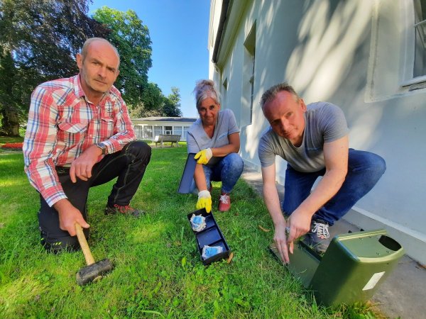 Schädlingsbekämpfer Thorsten Gronemeier (rechts) und seine Mitarbeiterin Heike Marx haben im Kurpark in Bad Meinberg insgesamt vier Köderstationen aufgestellt. Gärtner Gerhard Haut, Mitarbeiter des Landesverbandes Lippe, zeigte den Experten, wo er die Ratten gesichtet hatte. - © Michaela Weiße(LZ)