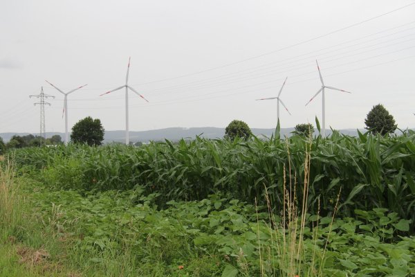 Vier Windräder drehen sich bereits in der Nähe von Hardissen, fünf weitere will die Windpark Lage-Lückhausen GmbH & Co. KG in der Nähe bauen. - © Nadine Uphoff