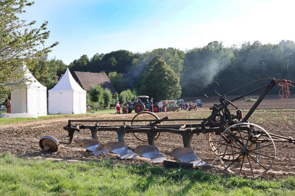 Das LWL-Freilichtmuseum konnte dieses Jahr noch mehr Besucher begrüßen als im bereits gut besuchten Vorjahr. - © Landschaftsverband Westfalen-Lippe
