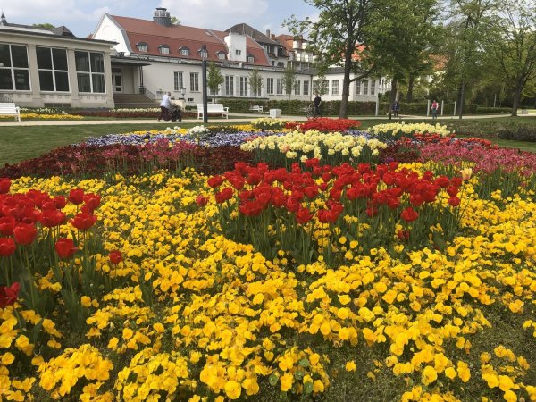 Es blüht im Kurpark von Bad Salzuflen. - © Thomas Reineke