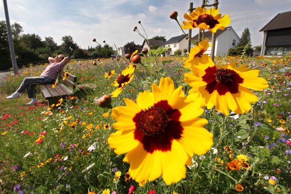 Wer sich regelmäßig mal eine Pause gönnt, hat nicht nur weniger Stress, sondern tut auch noch was für seine Gesundheit. - © Bernhard Preuß