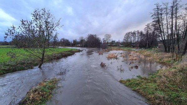Viel Wasser in der Bega: Wie hier in den Begaauen an der Pagenhelle haben die Maßnahmen zum Hochwasserschutz gefruchtet. Beim Hochwasser Ende 2023 gab es keine schlimmen Überflutungen. - © Nadine Uphoff/Archivfoto