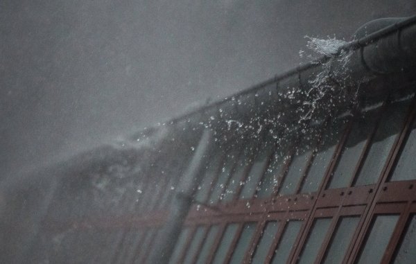 Der Deutsche Wetterdienst rechnet bis zum Wochenende mit Regen und starkem Wind. - © Symbolbild: Silas Stein/dpa