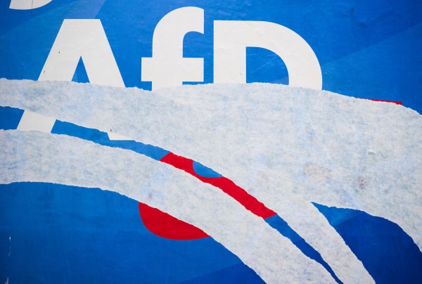 Die AfD kämpfte mit verschiedenen Aktionen vor der Europawahl auch in OWL um Stimmen. - © Julian Stratenschulte