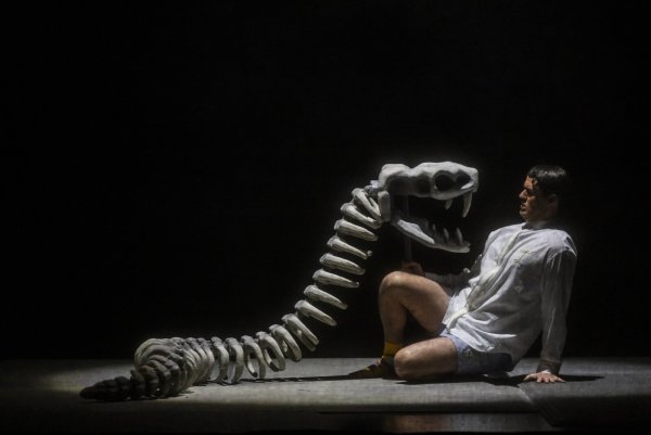 Prinz Tamino (Stephen Chambers) wird von einer Riesenschlange angegriffen. - © Jochen Quast