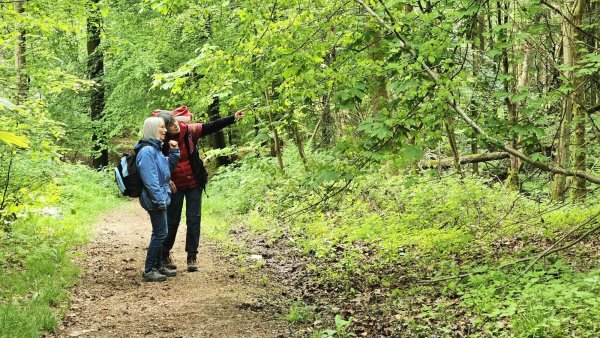 Mit Teilnehmerin Ute Stieghorst (links) erkundet Susanne Heidel den Wald mit allen Sinnen. Statt schnell zu gehen, steht die Langsamkeit im Vordergrund. Foto: Karin Prignitz - © Karin Prignitz