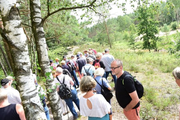 Der Augustdorfer Dünenpfad ist eine von zehn Touren, die im Rahmen des Projekts "Senne für alle Sinne" beworben werden. - © Archivfoto: Nicole Ellerbrake
