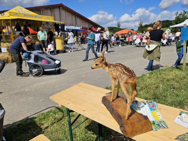 Die rollenden Waldschule war beim Hoffest auf der Egge in Hörste dabei. - © Astrid Sewing