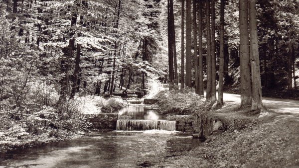 Die Berlebecker Quellen. - © Stadtarchiv Detmold