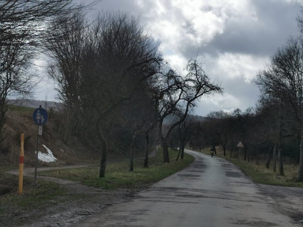Ist renovierungsbedürftig: die Straße Wolfsiek, die zum Friedhof und RSV-Stadion führt. Nach dem Willen von Grünen und SPD soll sie nicht nur einen neuen Belag und Fußweg sondern auch eine Beleuchtung erhalten. CDU und FDP halten letzteres derzeit für zu teuer für die Stadtkasse. - © Sylvia Frevert(LZ)