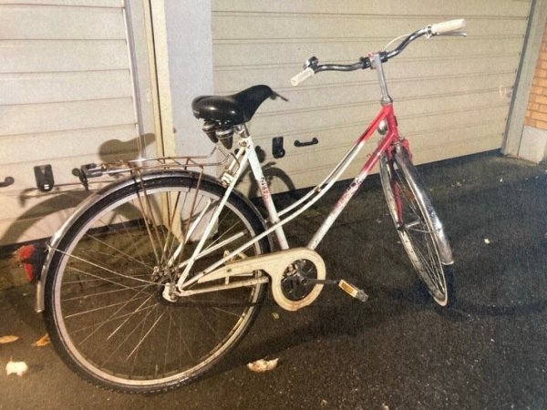 Das sichergestellte Fahrrad der Marke Pegasus. - © Polizei