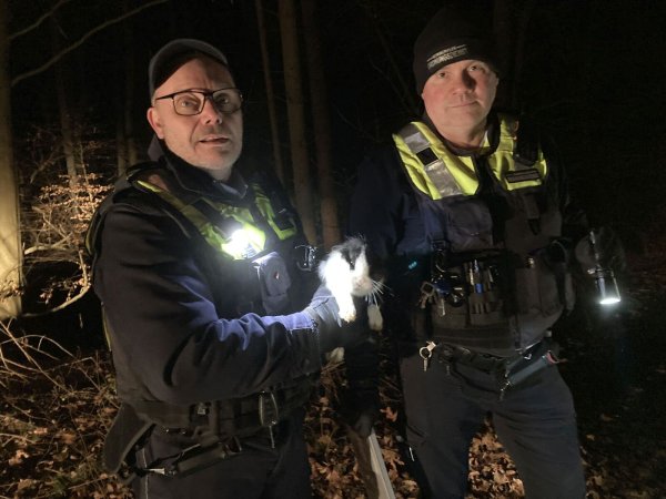 Die beiden Mitarbeiter des Detmolder Ordnungsamtes, Peter Schulze (links) und Lotahr Behlig, retteten Samstagabend das ausgesetzte Kaninchen. - © LZ