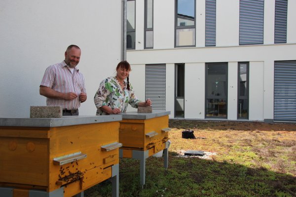 Andreas Postert vom Imkerverein Lage und Margarete Wissmann auf dem grünen Flachdach des Rathauses. Dort haben es sich die Bienen in zwei Trogbeuten gut eingelebt. - © Katrin Kantelberg