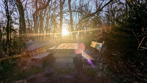 Im Morgengrauen herrscht am Hermann eine beinahe mystische Stimmung. - © Yvonne Glandien