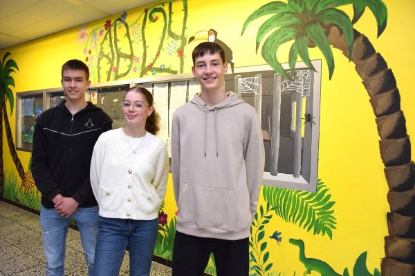 Maya Keill (16) ist neue Schülersprecherin des Niklas-Luhmann-Gymnasiums. Konstantin Haase (rechts) ist ihr Stellvertreter. Zur Wahl hat sich auch Tim Diestelhorst gestellt. Sie stehen vor den Schaukästen gegenüber dem SV-Raum. Foto: Karin Prignitz - © Karin Prignitz