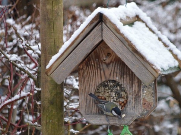 Freihängendes, überdachtes Futterhaus mit Absperrung gegen Zugang für Nager.  - © BUND Lemgo