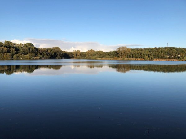 Der Norderteich im Sommer. - © LVL