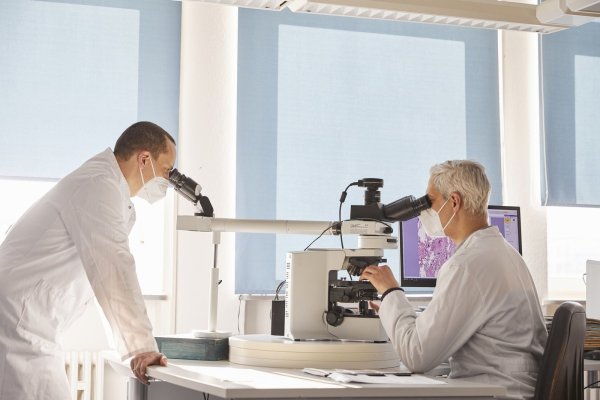 Dr. Ulf Tietze (links) und Professor Torsten Hansen begutachten Gewebeproben, die bei einer Obduktion entnommen wurden. Auch Corona-Opfer werden obduziert, um mehr über das Virus zu lernen. - © Astrid Sewing