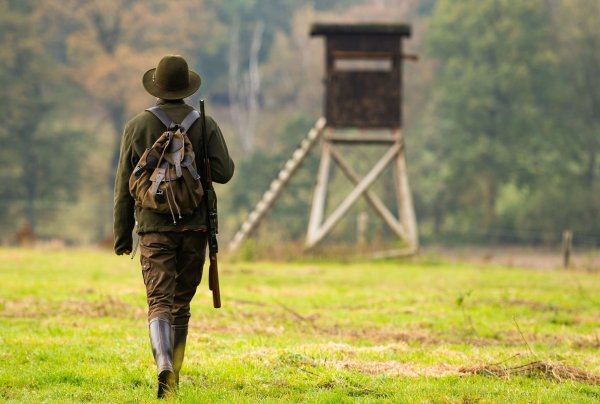 Eine Jägerin auf dem Weg zu einem Hochsitz. - © Philipp Schulze/dpa